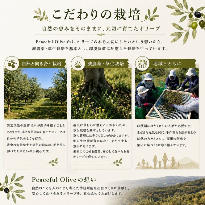 静岡県袋井市産 エキストラバージンオリーブオイル 100ml 香り豊かでやさしい味わい  調味料 食用油 国産  ※配送不可：離島