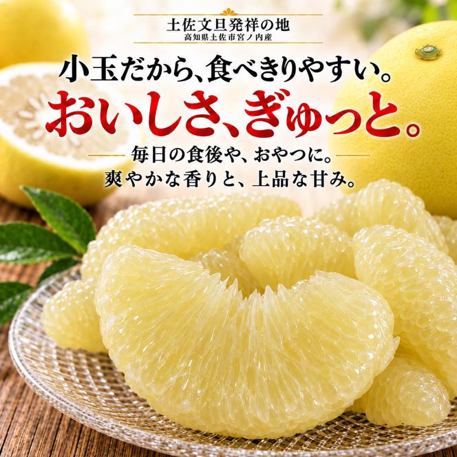 土佐文旦 小玉 5kg 家庭用 日本ギフト大賞受賞 文旦発祥の地 園主こだわり 食べ切りサイズ L～M 高知県土佐市産 高知県産 国産 5キロ ぶんたん ブンタン みかん 柑橘類 高級フルーツ 果物 産地直送 お取り寄せ ギフト 数量限定 季節限定 先行予約 やの一果彩[BQAC017]