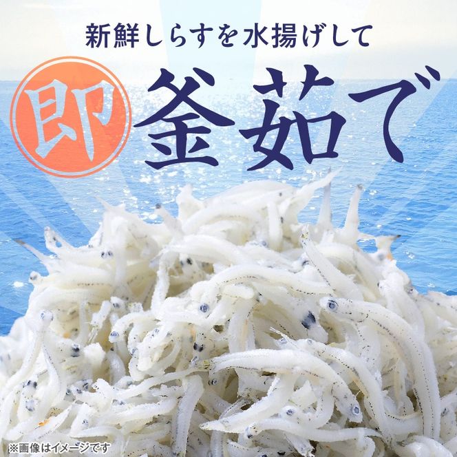 訳あり こモリ1kg！バラエティ豊富な三河しらす～海の仲間たち～ 魚介類 しらす シラス 国産 海の幸 ご飯のお供 おつまみ しらす丼 グルメやみつき 冷凍　H018-046