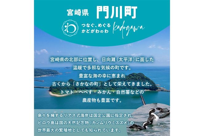≪返礼品なし・1,000円≫宮崎県 門川町への寄附【地域振興課】【AI-10】