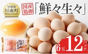 鮮々生々セット 卵 [H1403]