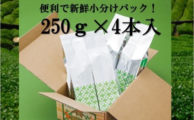 宇治抹茶入深蒸し煎茶1kg3ヵ月毎４回コース(250g×4袋×４回)〈定期便 煎茶 お茶 茶 緑茶 深むし 深蒸し茶 茶葉 宇治抹茶 抹茶 飲料 ブレンド 加工食品〉 飲料類 宇治抹茶入り 
