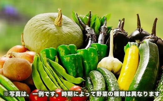 ［栽培期間中農薬・化学肥料不使用］OBUSE Meguru 野菜セット L 9～13種類 ［おぶせファーマーズ］野菜 詰め合わせ おまかせ やさい 詰合せ お楽しみ 長野県産 信州 令和7年産 【2025年7月上旬より順次発送】 ［FY-3］