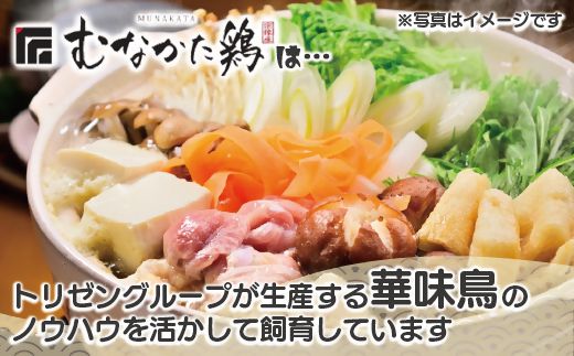 宗像産ブランド鶏【むなかた鶏】モモ肉4kg（平飼い）【JAほたるの里】_HA1416