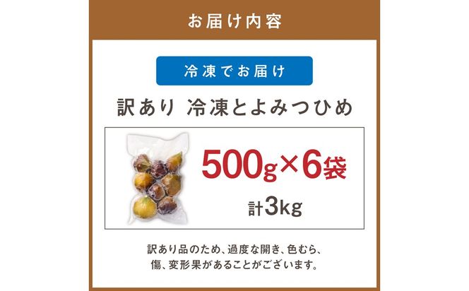 訳あり冷凍いちじく（とよみつひめ」）3kg【JAほたるの里】_HA1678