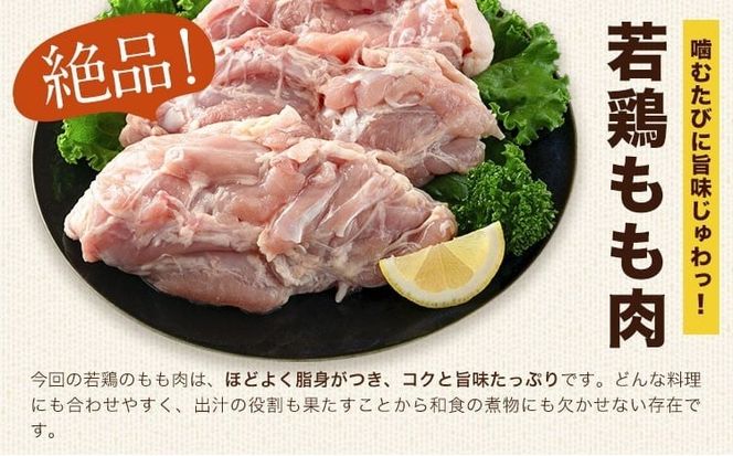 大容量 鶏肉  鶏もも 鶏もも肉 2kg 熊本県産 若鶏もも肉 《30日以内に出荷予定(土日祝除く)》 肉 鶏肉 若鶏 国産 真空 冷凍 冷凍庫 鳥 鳥肉 鳥もも 鳥もも肉 モモ モモ肉 鶏モモ肉 若鶏モモ---fn_ftrmomo_r7_9500_2kg_30d---