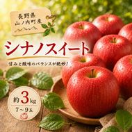 【2026年10月発送】 シナノスイート約3kg 7～9玉 りんご 長野県産