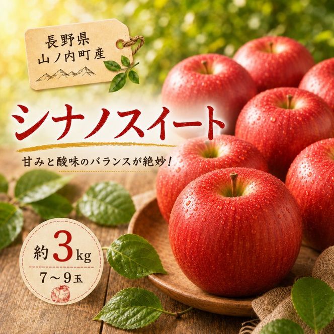 【2026年10月発送】 シナノスイート約3kg 7～9玉 りんご 長野県産