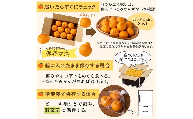 ＜2027年1月～4月上旬発送＞JAむなかたかんきつ部会が厳選したみかん（中晩柑）計3kg【JAほたるの里】_HA0281