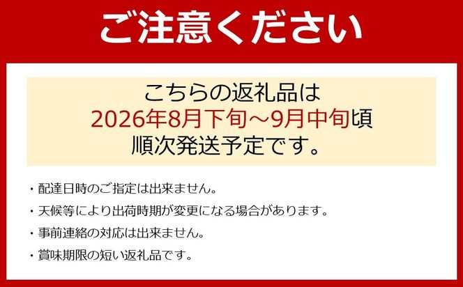 【先行予約】有田産 巨峰 約 3kg 有田 巨峰村 森下農園 ぶどう 送料無料 フルーツ★2026年8月下旬から順次発送 AE01