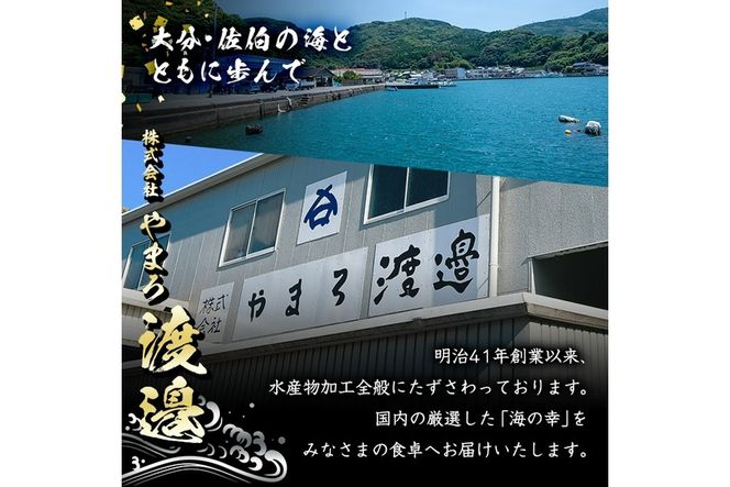 ＜定期便・全12回 (毎月)＞訳あり 干物大満足BOX (40尾以上) 定期便 簡単 調理 干物 あじ かます さば いわし みりん干し 丸干し 開き 魚 海鮮 冷凍 詰め合わせ セット 大分県 佐伯市【AQ91】【(株)やまろ渡邉】