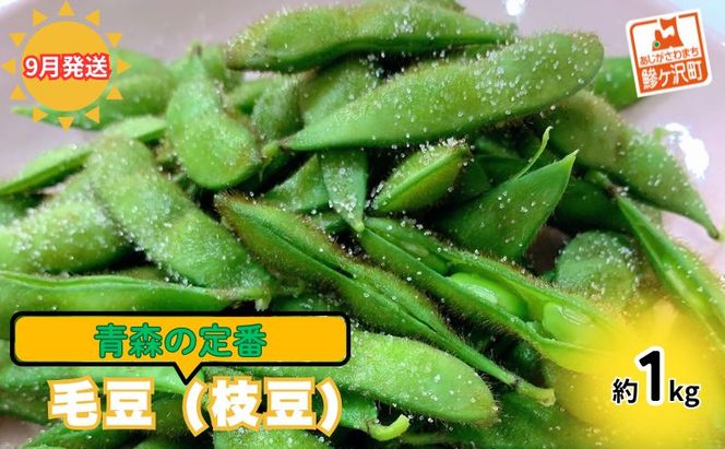 【 2026年産 数量限定 】青森の定番 毛豆 約1kg【9月発送】青森県鰺ヶ沢町産 ※オンライン決済のみ 野菜 枝豆 大粒 甘みが強い 豊かな香り コク ほっくり おつまみ 料理 お弁当 食材 