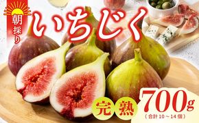 099H4538 【先行予約】【農家直送】朝採り 完熟いちじく 700g以上