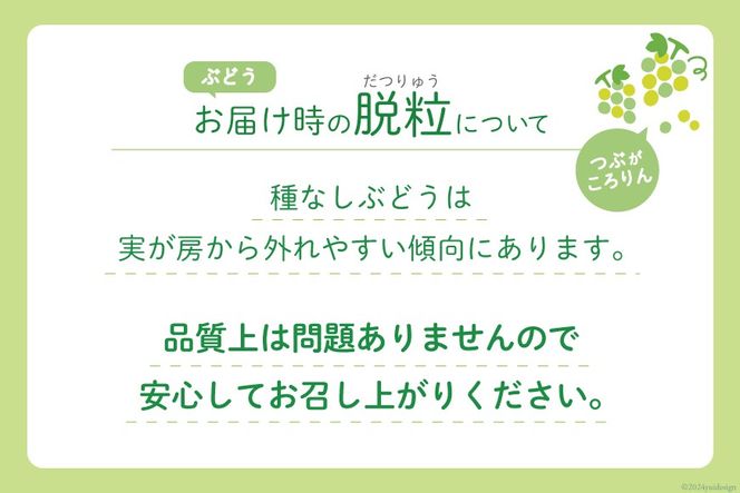 【2025年発送】シャインマスカット 約1.2～1.3kg (2～3房) [斎庵 山梨県 韮崎市 20742797] 果物 フルーツ 山梨 ぶどう マスカット ブドウ 葡萄 種なし 期間限定 季節限定 冷蔵