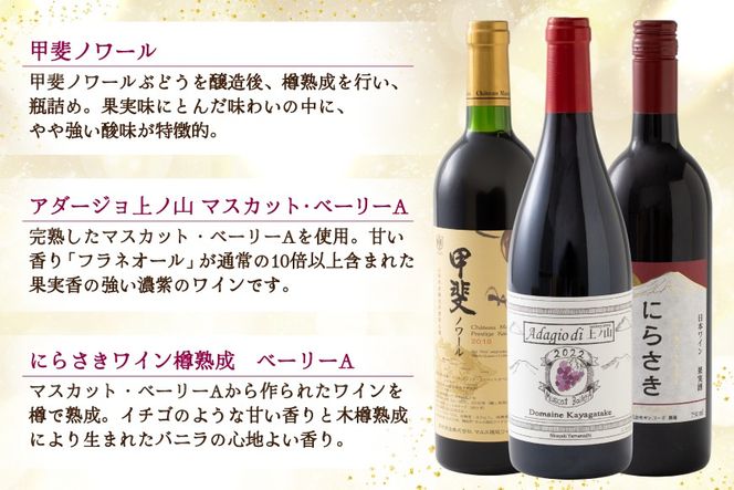 ワイン 赤ワイン好き必見！ 韮崎産 赤ワイン 9本 飲み比べ セット 750ml 8本 720ml 1本 [株式会社まあめいく 山梨県 韮崎市 20745325] ワイン Wine わいん 飲み比べセット お酒 酒 山梨ワイン セット