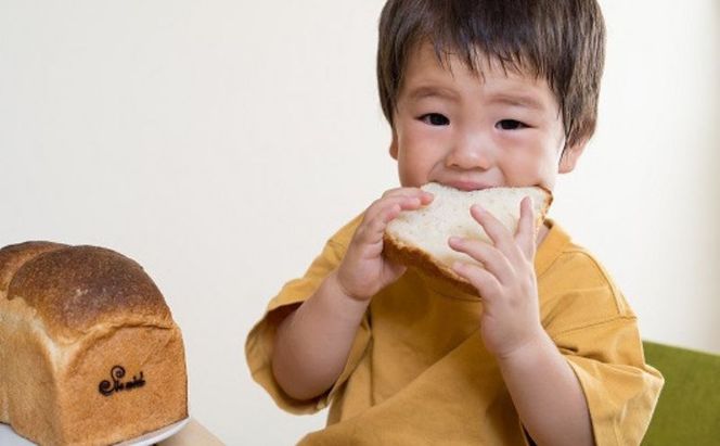 はちみつ酵母のパン　ハニーフロマージュ　12個セット　パン ぱん 朝食 おやつ お菓子 ご褒美 チーズ はちみつ酵母
