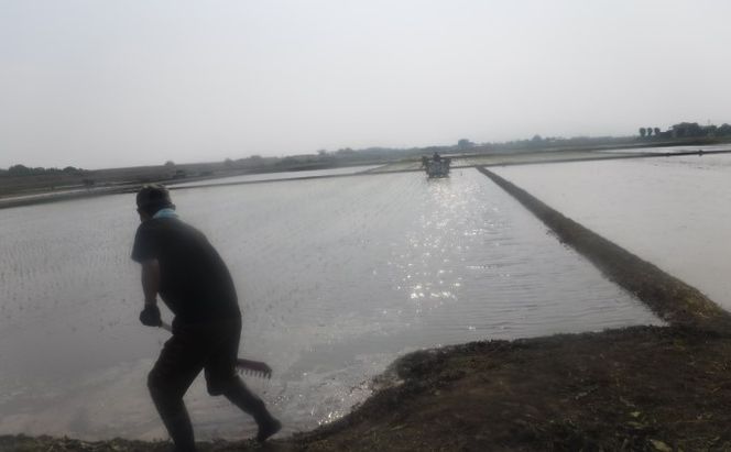 米 5kg 季節野菜 セット 精米 ゆめつくし お米 詰合せ 