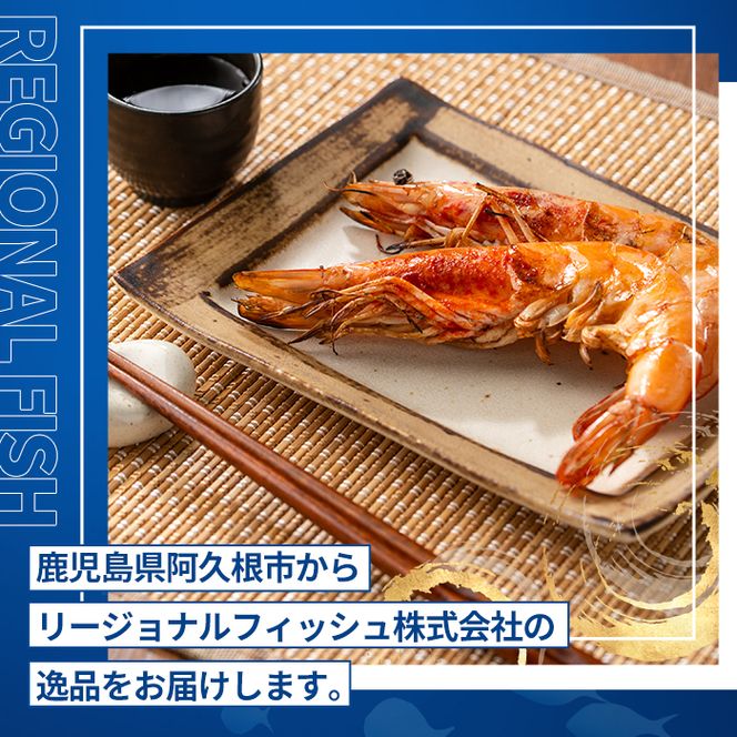 薩摩橙王エビ(4尾入×2パック) 国産 鹿児島県産 阿久根市産 えび 海老 魚貝類 魚介類 海産物 養殖 冷凍 期間限定 数量限定 焼き海老 焼きエビ バナメイエビ シロアシエビ 生食可 【リージョナルフィッシュ株式会社】akn105-01