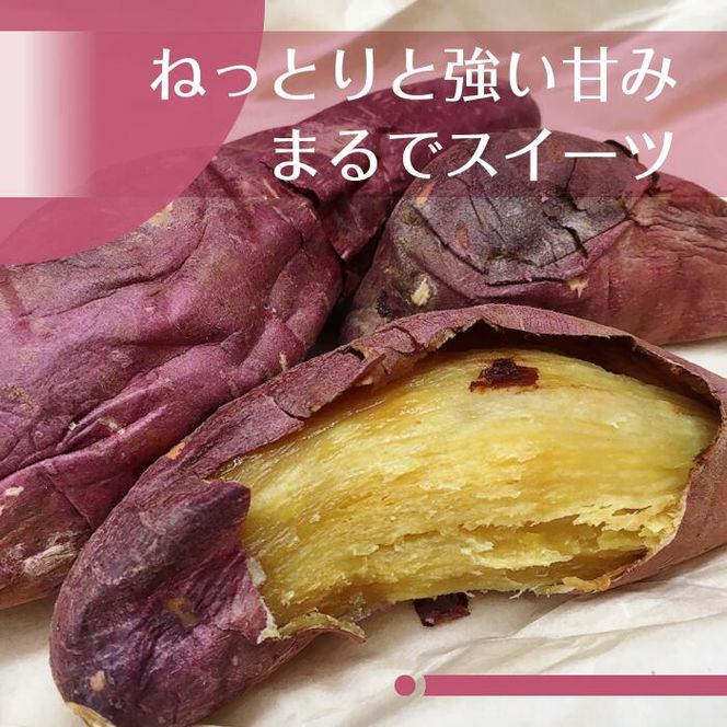 2025年度産 濃厚な甘みさつまいも 紅はるか5kg【茨城県共通返礼品/行方市】【さつまいも サツマイモ 芋 お芋 甘い ねっとり 美味しい 大量 茨城県 北茨城市 】(AK201)