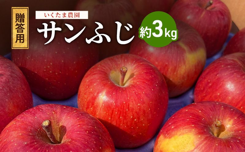 [2026年 11月〜 発送]りんご 先行予約 贈答用 葉とらず サンふじ 約 3kg フルーツ 果物