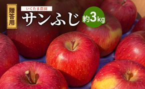 【2026年 11月～ 発送】りんご 先行予約 贈答用 葉とらず サンふじ 約 3kg フルーツ 果物