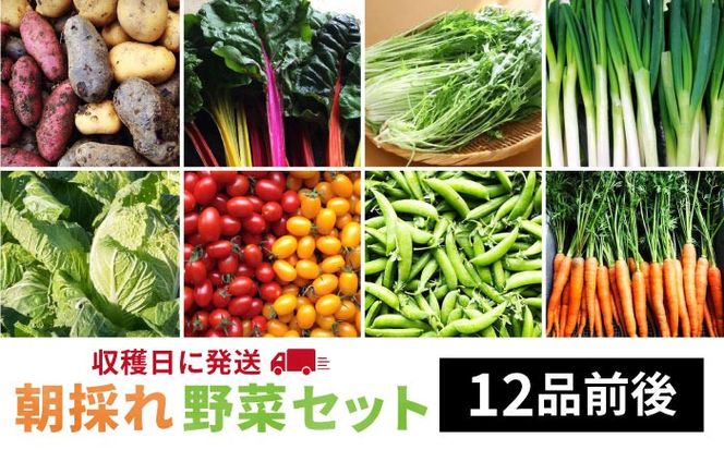 yszy  Y z ̂  Zbg i 12i O j styI[KjbNiK~ct@[z  [AGE023]