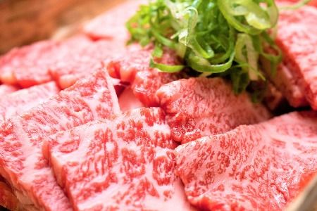 艶さし！【A4～A5】佐賀牛焼肉用 1kg(500g×2P)【肉 牛肉 ブランド牛 黒毛和牛 ふるさと納税】(H112112)