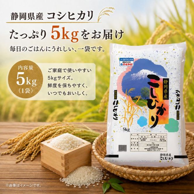 米 静岡コシヒカリ 5kg コシヒカリ お米 白米 コメ 静岡県産