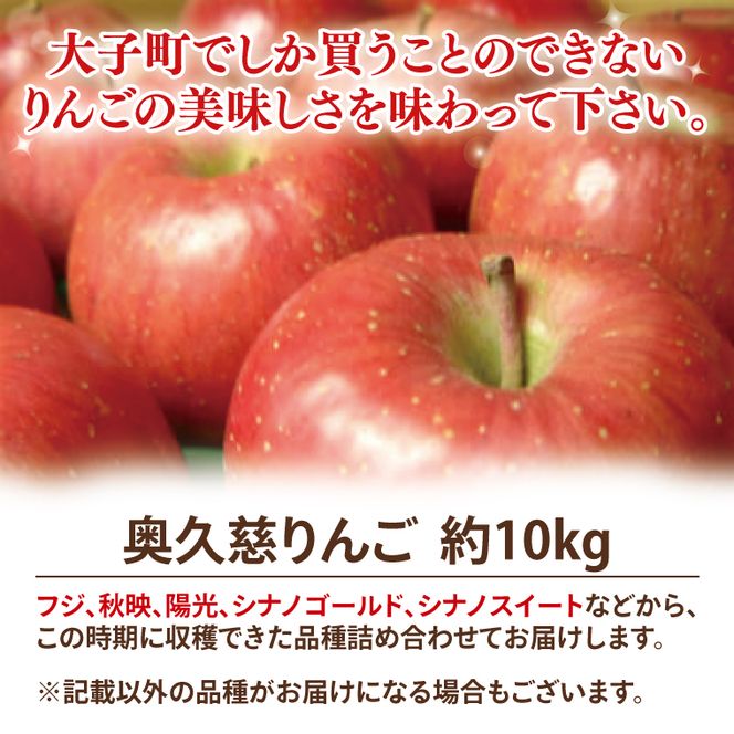 先行予約 奥久慈 りんご 10kg 24～40玉 樹上完熟 茨城県 大子町 フルーツ 果物 国産 詰め合わせ ふじ 秋映 陽光 シナノゴールド シナノスイート 秋 旬 お取り寄せ 数量限定 【2026年9月中旬頃順次発送開始予定】(AI004-1)