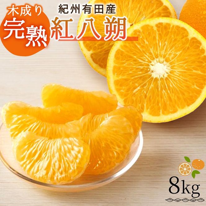 紀州有田産木成り完熟紅八朔8kg