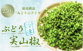  冷凍 ぶどう 生実山椒 250g / 山椒 さんしょう 香辛料 調味料 薬味 冷凍 ぶどう山椒 生山椒 和歌山県 紀美野町 生実山椒【twn020A】