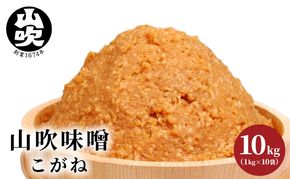 味噌 山吹味噌 こがね 10kg （1kg×10袋） セット 信州味噌 みそ ミソ 熟成 信州 信州みそ 調味料 小分け 長野県 長野 