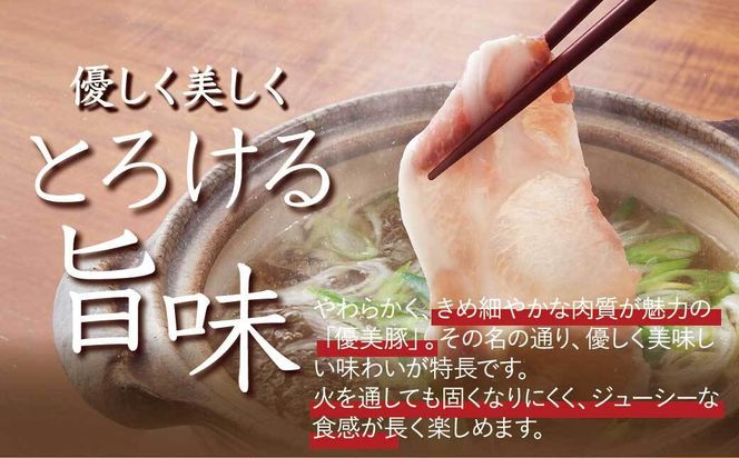 鹿児島県産黒豚「優美豚」ロース三昧セット 464686_M638