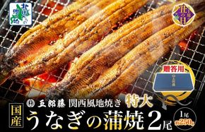 015B385-1d 【7/26土用の丑の日】五郎藤 関西風地焼き 国産有頭旨鰻 250g×2尾 計約500g 【贈答用 特大 うなぎ ウナギ 蒲焼き 炭火】