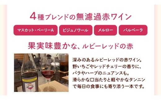 歩wine wild flower2025 ( 750ml ) 日本ワイン 牛久市 ブドウ 自然派ワイン 無濾過 ファーストヴィンテージ マスカット・ベーリーA ビジュノワール メルロー バルベーラ ワイン 酒 赤ワイン わいん