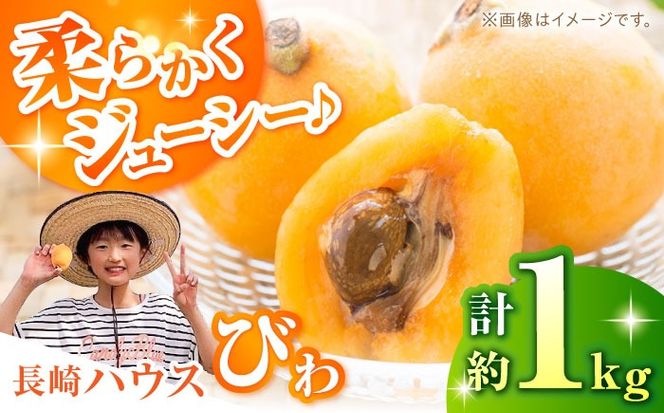 【2025年3月下旬〜発送】【数量限定】長崎ハウス びわ 約1kg（約260g × 4p） / フルーツ びわ ビワ 枇杷 / 南島原市 / O' Berry![SGA002]