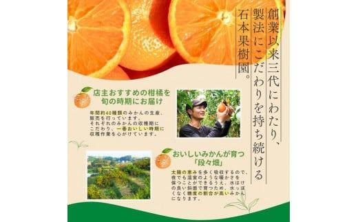 【先行予約】旬の柑橘 詰め合わせ セット 石本果樹園 店主おすすめの柑橘セットをお届け 【2027年1月～4月中に順次発送予定】 / フルーツ 果物 くだもの 柑橘 フルーツセット くだものセット みかん ミカン 温州みかん 不知火 せとか セミノール ポンカン カラマンダリン 甘夏 清見 オレンジ 産地直送 旬 人気 おすすめ 詰め合わせ お楽しみ三重県 紀宝町【min011】