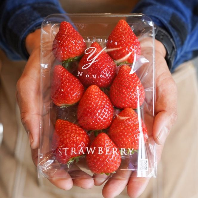 【2026年1月発送開始】【先行予約】合計1,000g 栃木県産 いちご食べ比べセット 甘くて可愛い「とちあいか」× 大粒高級「スカイベリー」 | 栃木県 ふるさと納税 いちご イチゴ 苺 果物 フルーツ とちあいか ご褒美 ハート型 熟成 スカイベリー 大粒いちご セット 食べ比べ こだわり (DS003)