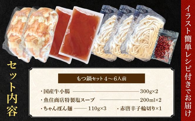 魚住商店特製 国産牛もつ使用 塩もつ鍋セット(4～6人前)【魚住商店】_HA2000 〆のチャンポン麺付き 国産モツ鍋 鍋 ホルモン 肉 もつ 国産もつ鍋 塩もつ鍋 塩モツ鍋 出汁つき 小分け 個包装 冷凍 惣菜 お惣菜 おかず おすすめ 福岡県宗像市