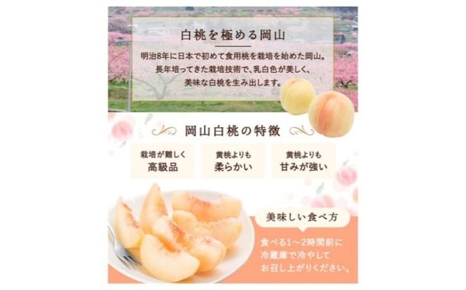桃 2026年 先行予約 白桃 3玉(約750g)等級：ロイヤル 化粧箱入り もも モモ 岡山県産 国産 フルーツ 果物 セット ギフト[№5735-3264]