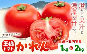 【大津アグリラボ】王様トマト かれん 選べる内容量 約1kg 約2kg 株式会社中九州クボタ《10月上旬-6月下旬頃出荷》熊本県 大津町 トマト 野菜---oz_nkb_4_1kg---