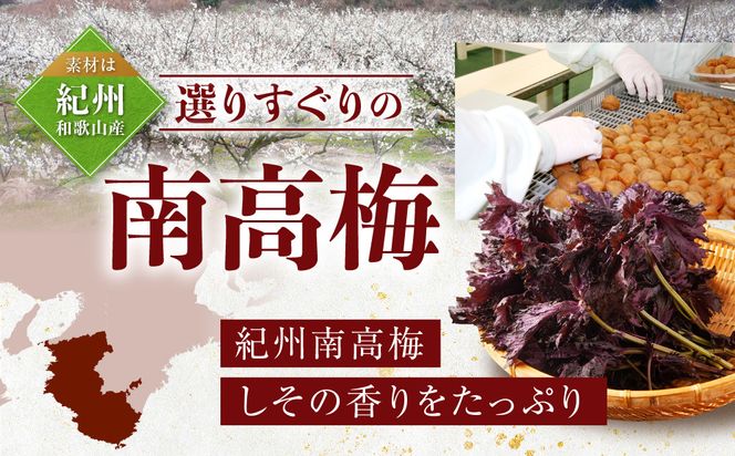 紀州南高梅 しそプレミアム塩分約6％ 500g ［YM13］ 303446_DX90016