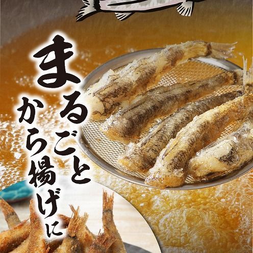【訳あり】めひかり 計 2kg 天然 数量限定 【極小サイズ 500g×4袋 280尾以上】 N124-YZA0397