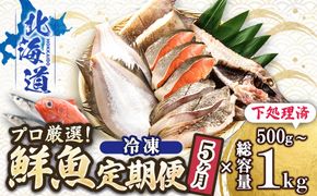 【定期便 5ケ月連続】 お魚の目利きのプロにお任せ！北海道産（国産） 天然 鮮魚 約500g～1kg（釧路の鮮魚セット） 鮮魚 刺身 セット 産地直送 定期便 冷凍 冷凍便 魚介類 海鮮 絶品 人気 ヒロセ 北海道 釧路町 釧路超 特産品　121-1262-142-015
