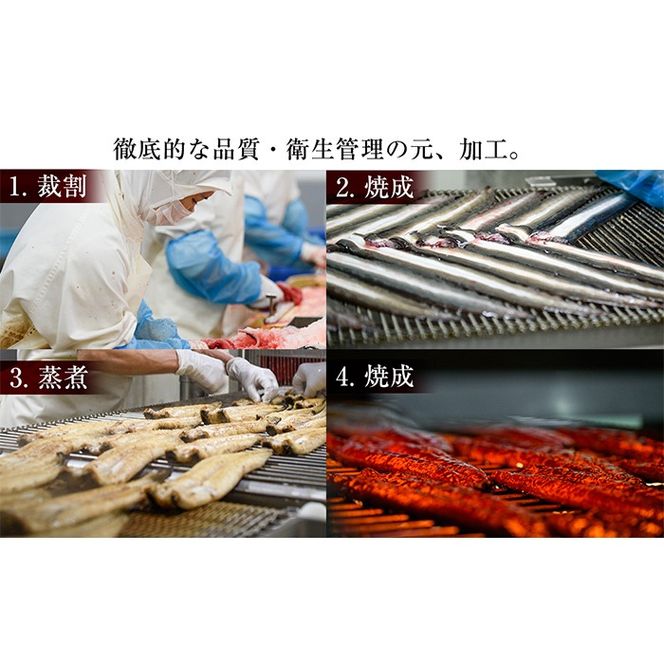 国産うなぎ蒲焼名水慈鰻5尾（合計800ｇ以上） c1-005