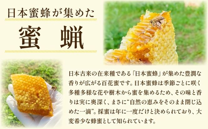 日本蜜蜂の純粋はちみつ 日本蜜蜂の純粋はちみつ 500g×1 蜜蝋100g付
