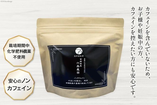 お茶 六条麦茶 （10g × 20包入）×５袋 [日向百生会 宮崎県 日向市 452060516] 麦茶 むぎ茶 水出し 煮出し ティーバッグ 国産 ノンカフェイン