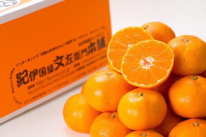 ブランド有田みかん［S］秀品10kg／薄皮で甘い美味しいみかん／産地直送［TC73］ 303446_XK057