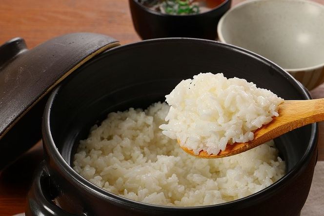 無洗米コシヒカリ 洗わんでいっちゃが10kg K23_0001_1