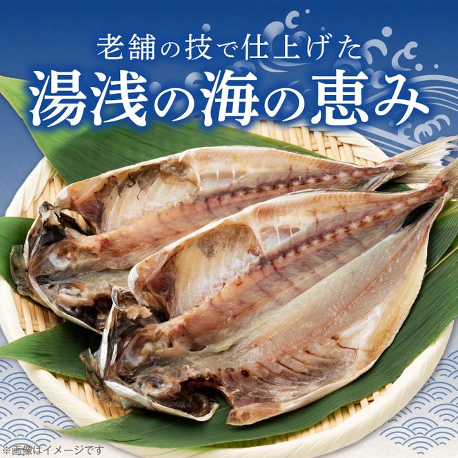 AD6102_かね七商店　湯浅の干物大満足セット　小あじ・かます・さば・さんま味醂干し計１８枚